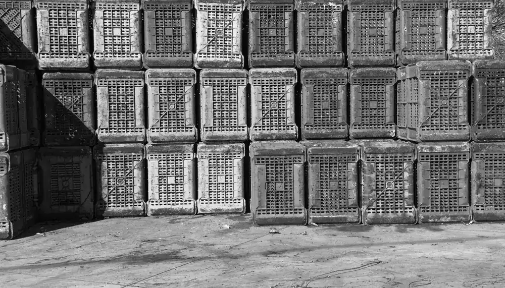 Cassette di bottiglie impilate nella cantina