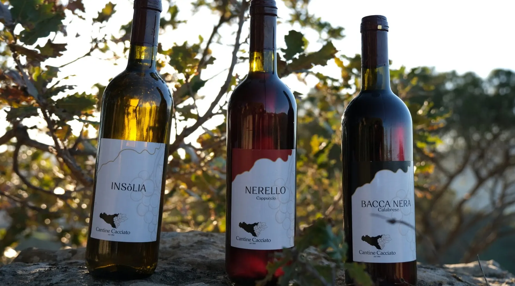 Le tre bottiglie di Cantine Cacciato sulla roccia al tramonto